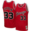 Scottie Pippen Chicago Bulls 2003/04 Hardwood Classics product image 1