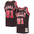 Dennis Rodman Chicago Bulls 1995/96 Hardwood Classics product image 1