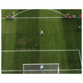 Megan Rapinoe Autographed & Inscr. "2019 World Cup Champions" WC PK in Gold 16x20 Photo product image 1, provided for visual