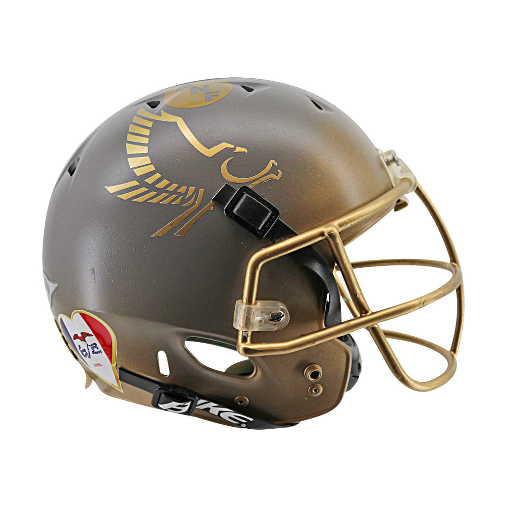 Iowa Hawkeyes Bike Full Size Authentic Football Helmet product image 1, provided for visual reference and product detail