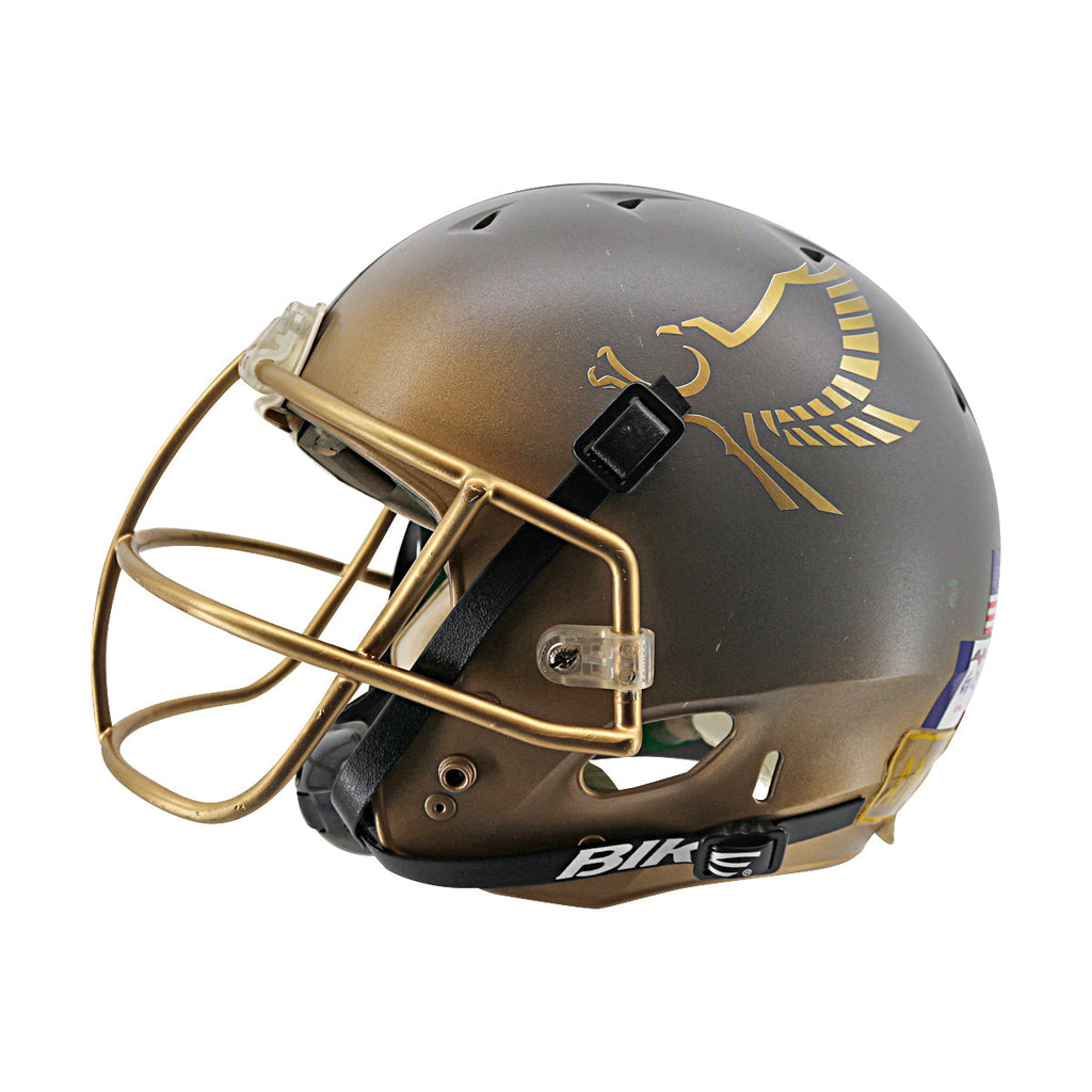 Iowa Hawkeyes Bike Full Size Authentic Football Helmet product image 6, provided for visual reference and product detail