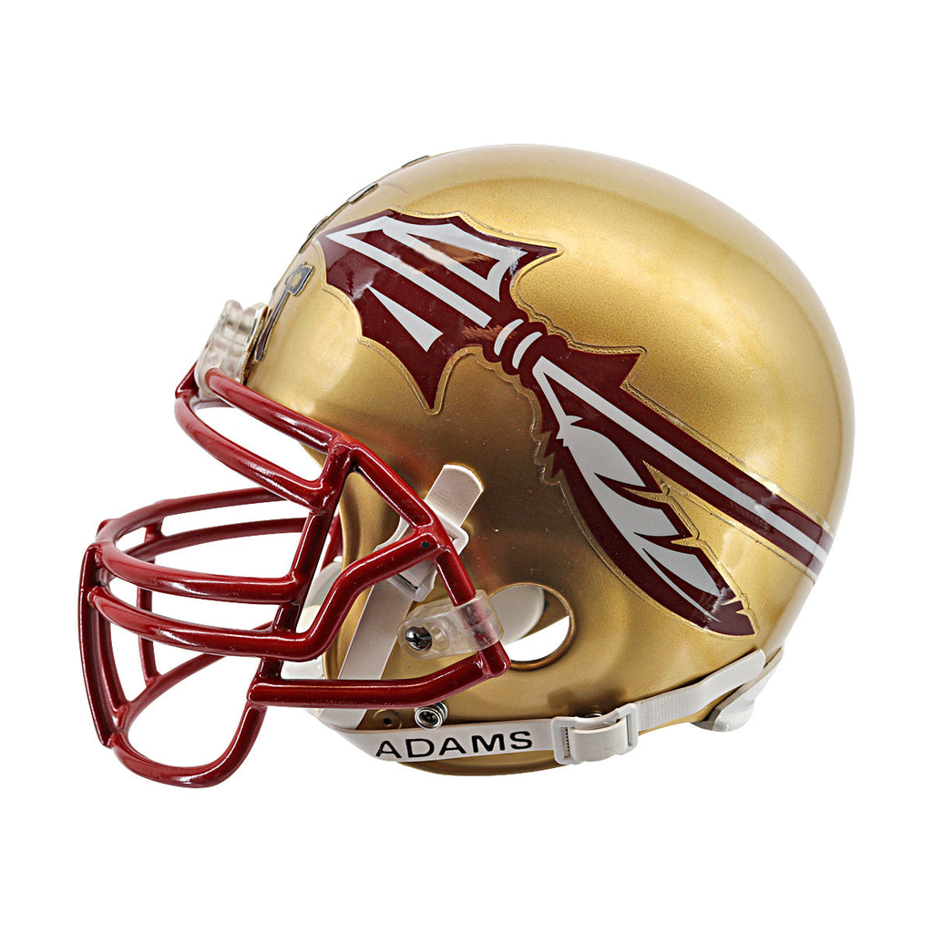 Florida State Seminoles Riddell Team Issued Full Size Authentic Football Helmet product image 1, provided for visual