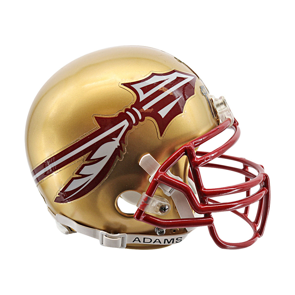 Florida State Seminoles Riddell Team Issued Full Size Authentic Football Helmet product image 3, provided for visual