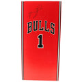 Derrick Rose Chicago Bulls Emierby NBA Real Masterpiece 1:6 Action Figure product image 1, provided for visual reference and