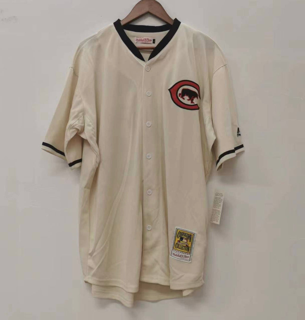 Ryne Sandberg Chicago Cubs Jersey Mitchell & Ness (retro product image 2