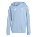Adidas Youth Argentina Anniversary DNA Hoodie product image 1, provided for visual reference and product detail review