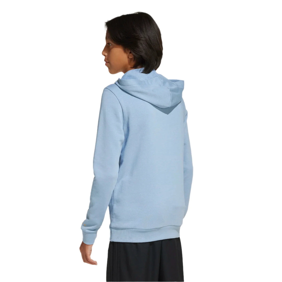 Adidas Youth Argentina Anniversary DNA Hoodie product image 2, provided for visual reference and product detail review