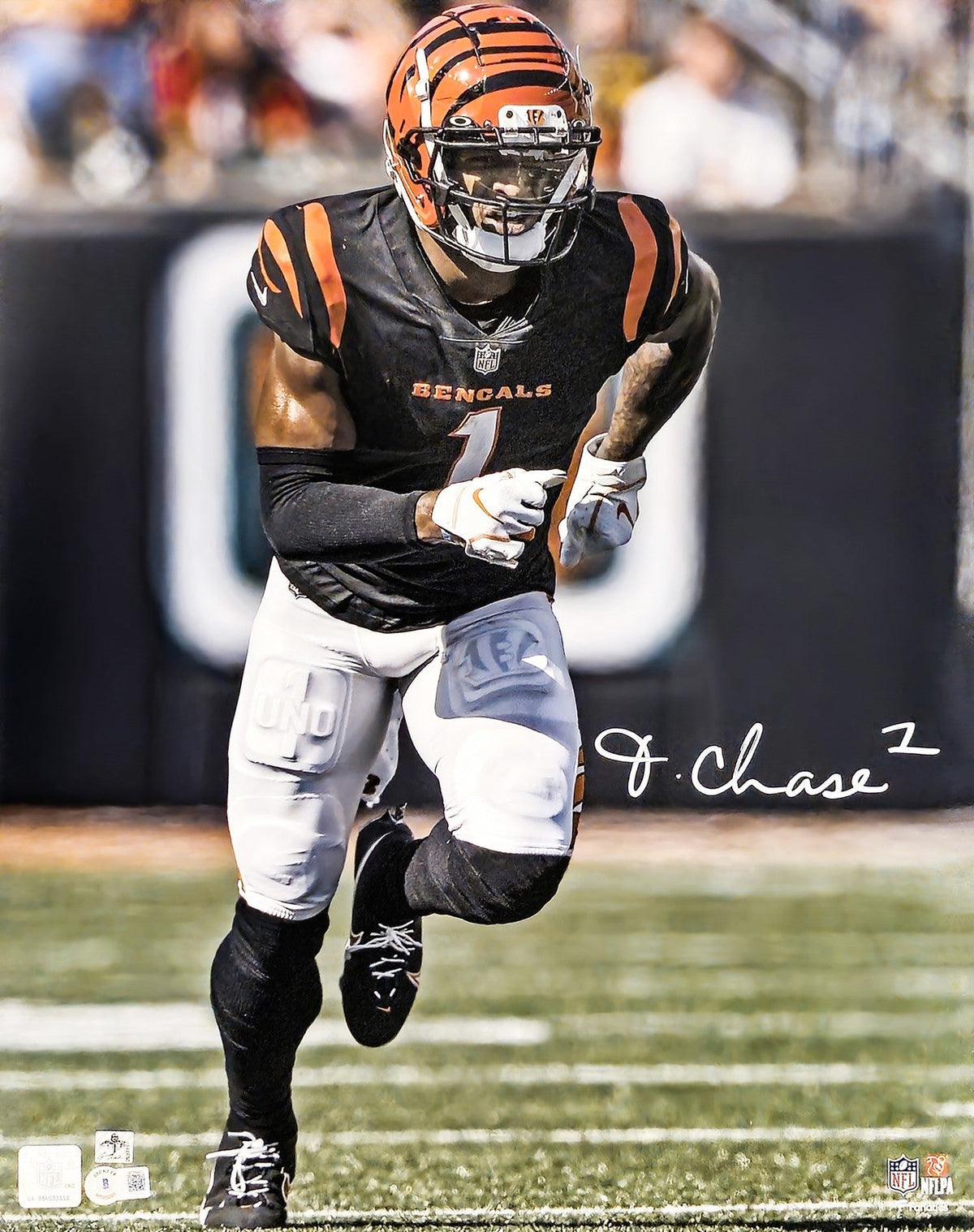 Ja'Marr Chase Signed 16x20 Photo Cincinnati Bengals Beckett Witness product image 1, provided for visual reference and